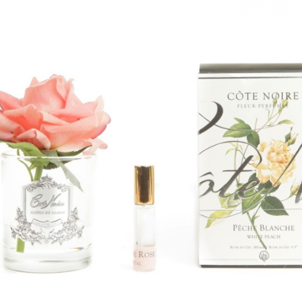 Côte Noire Perfumed Natural Touch Single Rose - Clear - White Peach