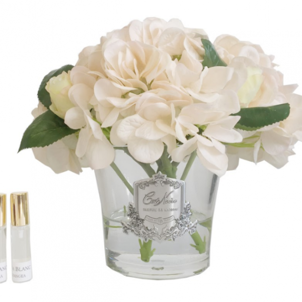 Côte Noire - Hydrangea's & Rose Buds - Champagne