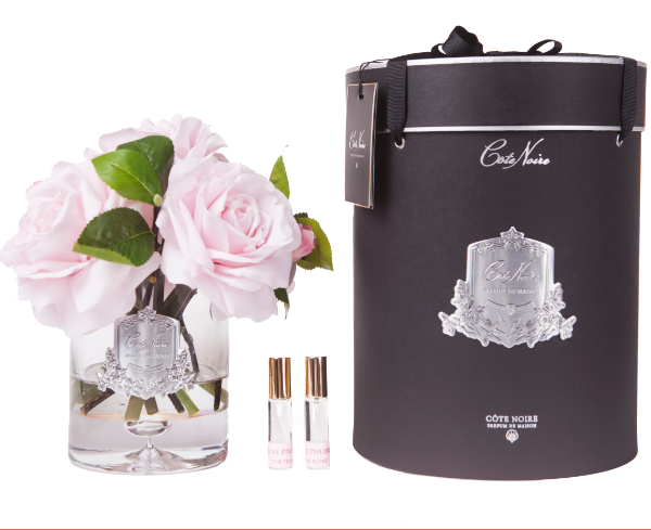 Côte Noire - Luxury Tea Rose - French Pink