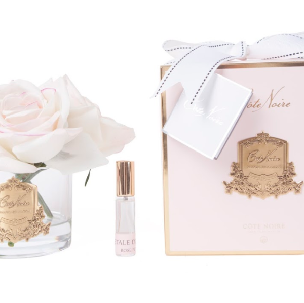 Côte Noire Perfumed Natural Touch 5 Roses - Clear - Pink Blush - Pink Box