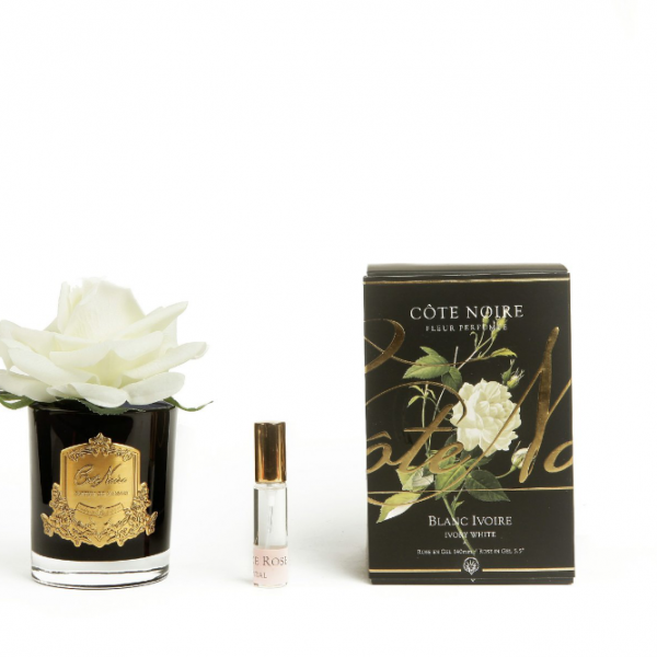 Côte Noire Perfumed Natural Touch Single Rose - Black - Ivory White