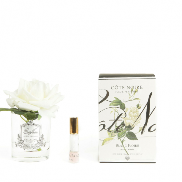 Côte Noire Perfumed Natural Touch Single Rose - Clear - Ivory White