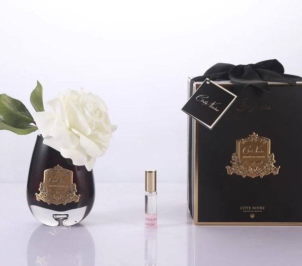 Côte Noire -Tear Drop Tea Rose In Dark Glass - Ivory White
